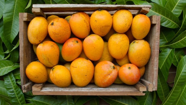 Latest and Breaking News on NDTV Latest and Breaking News on NDTV