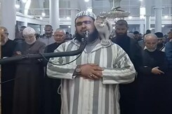 Viral: रमज़ान में तरावीह के दौरान इमाम पर कूद पड़ी बिल्ली Viral: रमज़ान में तरावीह के दौरान इमाम पर कूद पड़ी बिल्ली