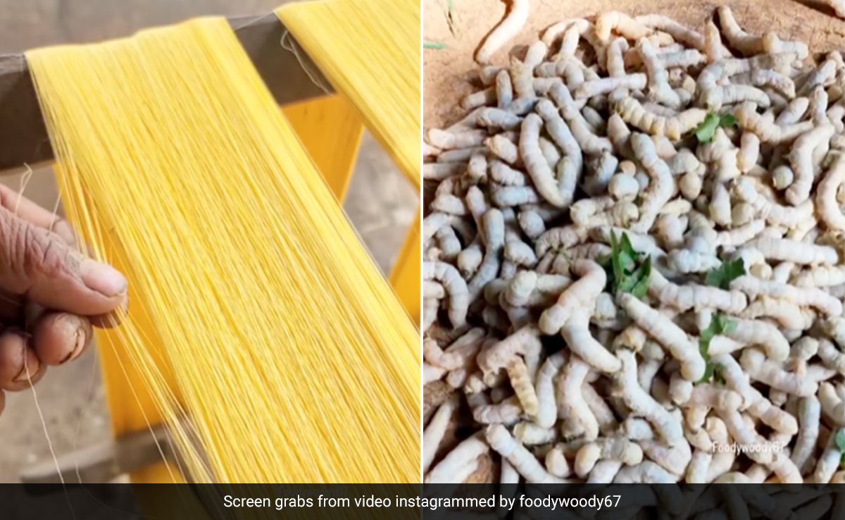 कीड़े से कैसे बनाया जाता है रेशम? Video में देखिए सिल्क बनाने का अनोखा तरीका, लगती है कड़ी मेहनत