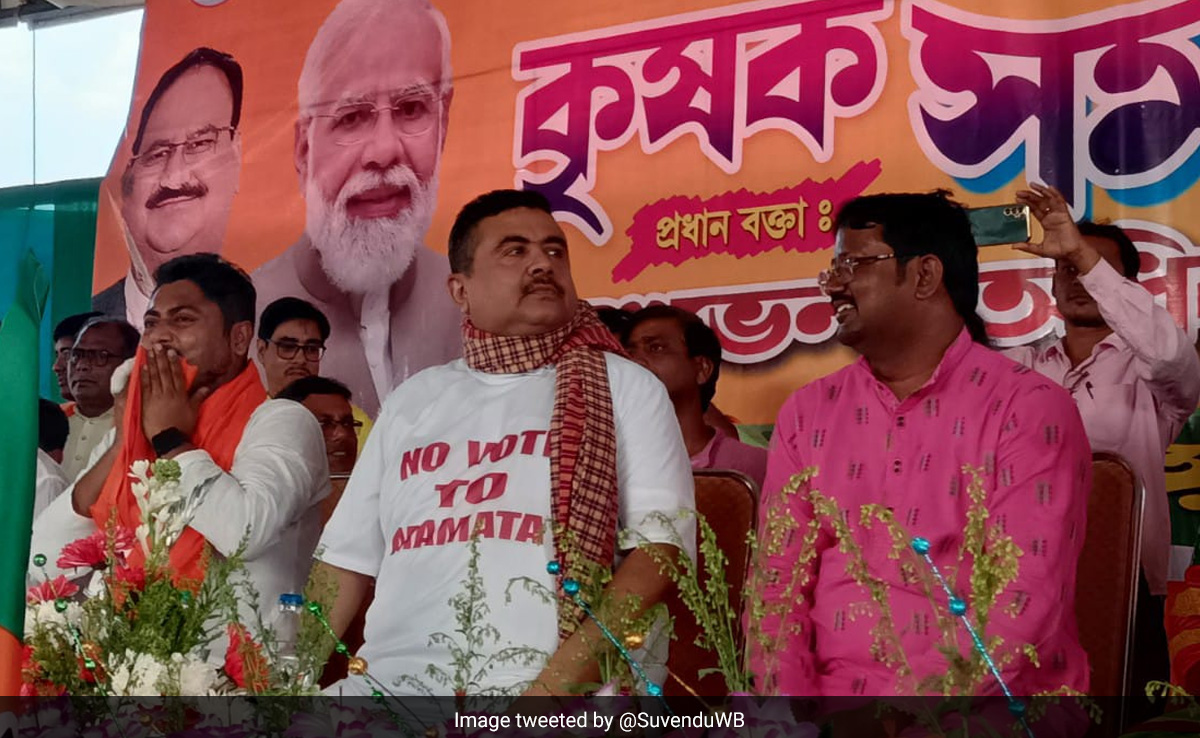 BJP Leader's "No Vote To Mamata" Plea Ahead Of Panchayat Polls