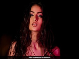 पलक तिवारी हैं बॉलीवुड की नेक्स्ट बड़ी सेंसेशन, ग्लैमर में बड़ी-बड़ी एक्ट्रेसेस को चटा दी है धूल, ये 20 तस्वीरें हैं गवाह पलक तिवारी हैं बॉलीवुड की नेक्स्ट बड़ी सेंसेशन, ग्लैमर में बड़ी-बड़ी एक्ट्रेसेस को चटा दी है धूल, ये 20 तस्वीरें हैं गवाह