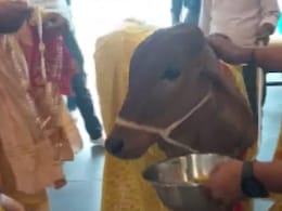 Bahula Chouth 2023: इस दिन रखा जाएगा बहुला चौथ का व्रत, भूलकर भी न बनाएं गाय के दूध से प्रसाद, पूजा में चढ़ाएं इस दाल से बना भोग