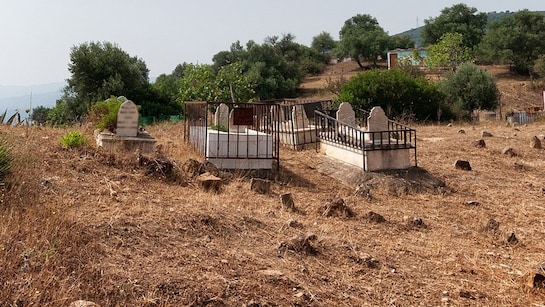 Graves Tampered With In Madhya Pradesh, CCTV Captures Naked Suspects