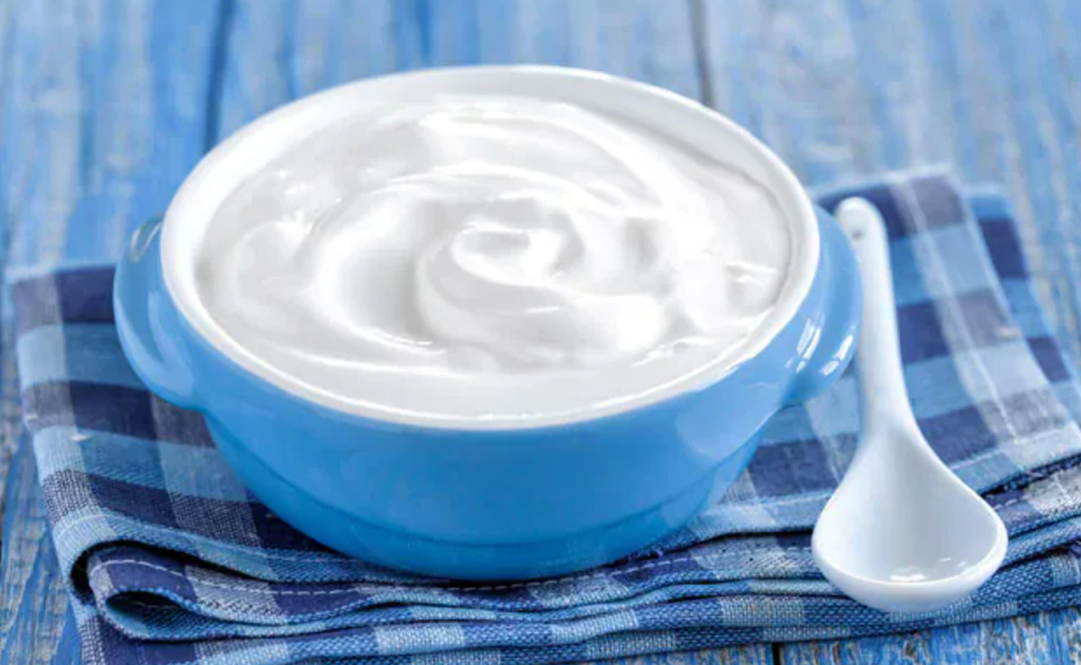 Curd In Winter: क्या आपको भी ठंड में दही खाने से लगता है डर? यहां जानें दही से जुड़े मिथक और सच्चाई | What Is The Right Time To Eat Yoghurt Curd