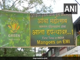 This Pune Seller Offers Alphonso Mangoes On EMI This Pune Seller Offers Alphonso Mangoes On EMI