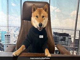 ट्विटर पर अब नहीं दिखेगी Blue Bird! एलन मस्क ने Doge को बनाया Twitter का नया logo, आई मीम्स की बाढ़ ट्विटर पर अब नहीं दिखेगी Blue Bird! एलन मस्क ने Doge को बनाया Twitter का नया logo, आई मीम्स की बाढ़