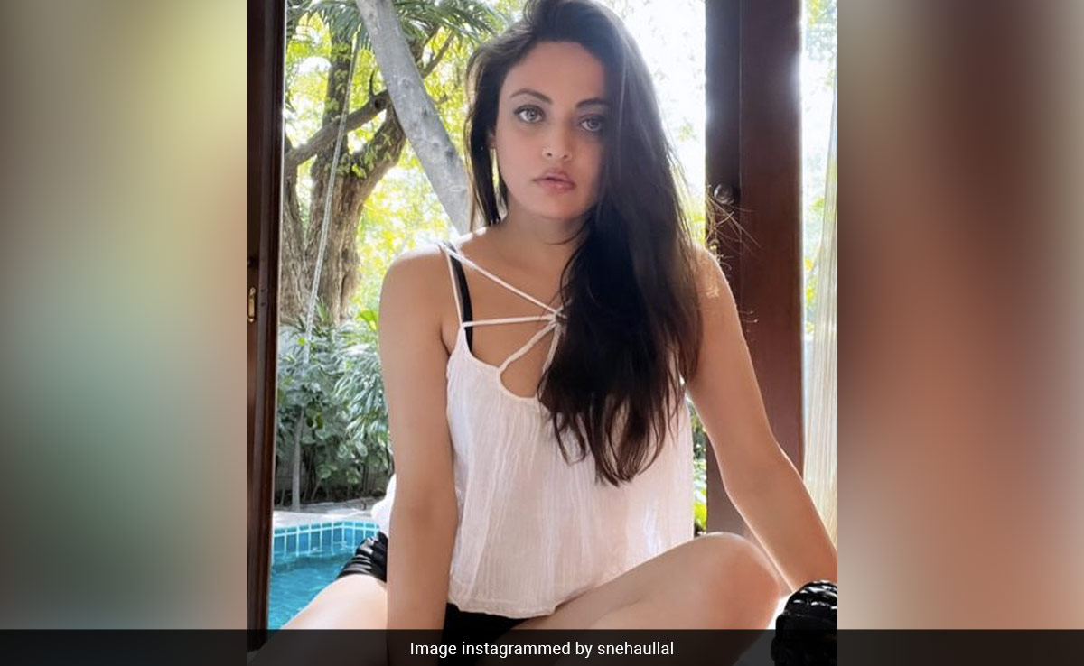 किसी जमाने में सलमान खान ने की थी इस एक्ट्रेस की खोज, ऐश्वर्या राय जैसा है लुक- लेटेस्ट फोटो हुईं वायरल