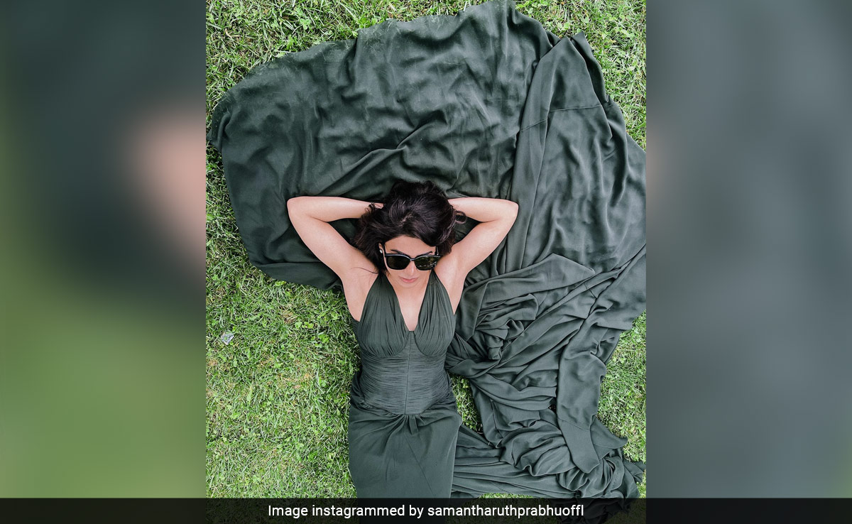 On Samantha Ruth Prabhu's New Pic, <i>Shaakuntalam</i> Co-Star Dev Mohan Left This Comment