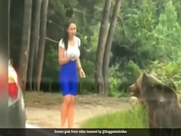 जंगली काले भालू के साथ पोज देखकर फोटो खिंचवा रही थी लड़की, तभी बिगड़ गया भालू, कमजोर दिल वाले न देखें वीडियो जंगली काले भालू के साथ पोज देखकर फोटो खिंचवा रही थी लड़की, तभी बिगड़ गया भालू, कमजोर दिल वाले न देखें वीडियो