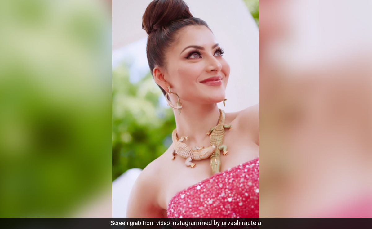 Cannes 2023: Hello Internet, You Hurt Urvashi Rautela's "Sentiments" With Memes On Necklace