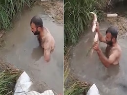 देखने वालों को लगा डूब गया! लेकिन अगले ही पल शख्स की खुशी देखने लायक थी, देखें VIDEO देखने वालों को लगा डूब गया! लेकिन अगले ही पल शख्स की खुशी देखने लायक थी, देखें VIDEO