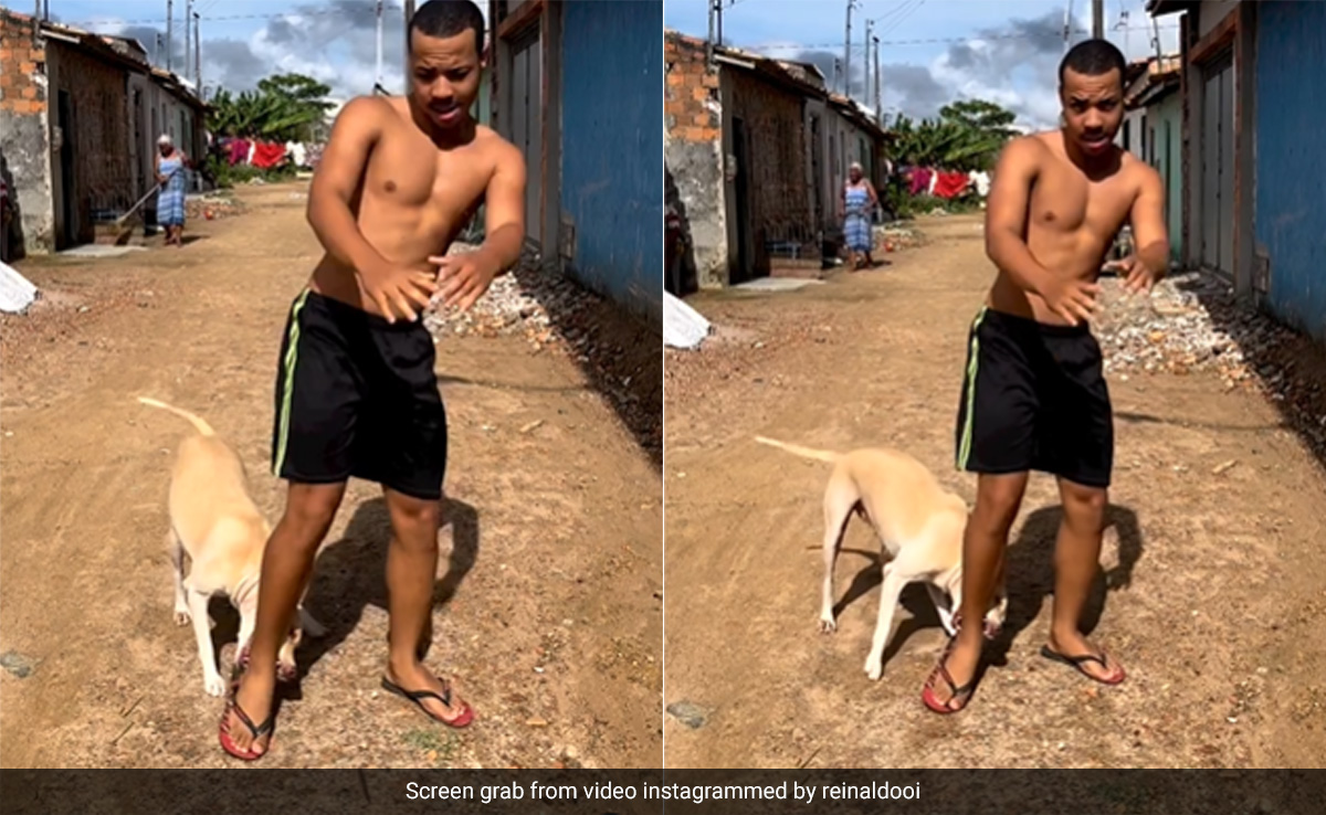 कुत्ता लगातार काट रहा था पैर, फिर भी डांस करता रहा शख्स, वायरल Video देख लोग हैरान