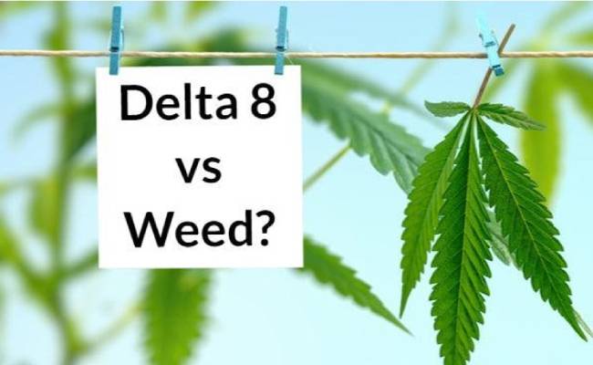 Delta 8 THC Vs. Delta 9 THC - What Is The Difference?