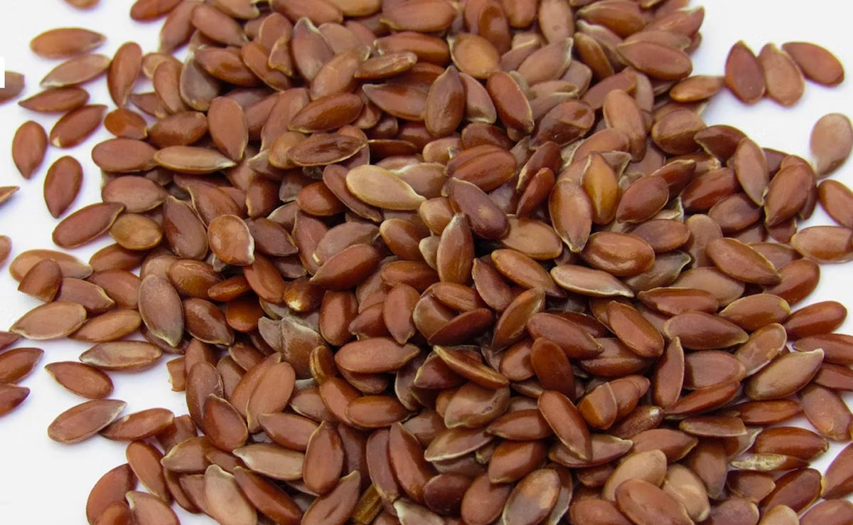 अलसी के बीजों को वजन घटाने के लिए किया जा सकता है डाइट में शामिल, इन 5 तरीकों से खा सकते हैं Flax Seeds