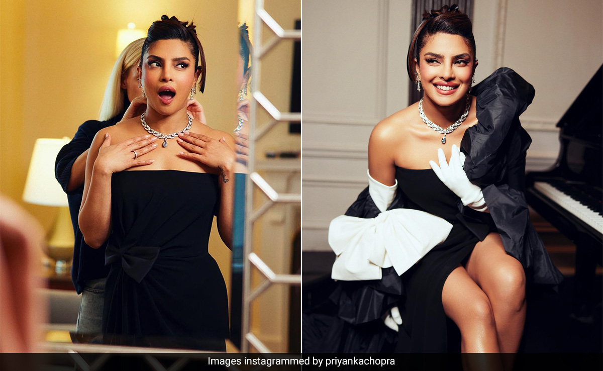 Priyanka Chopra's Rs 204 Crore Met Gala Necklace Stands The Test Of Time