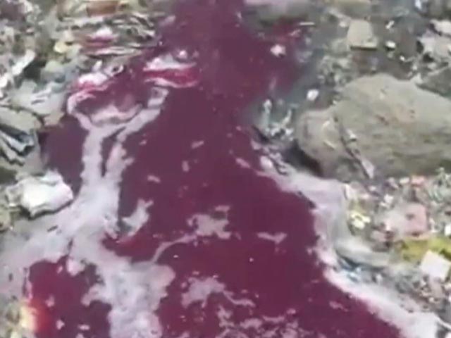 "Red, Green Or Black": Hindon River Turns Toxic Due To Rampant Pollution