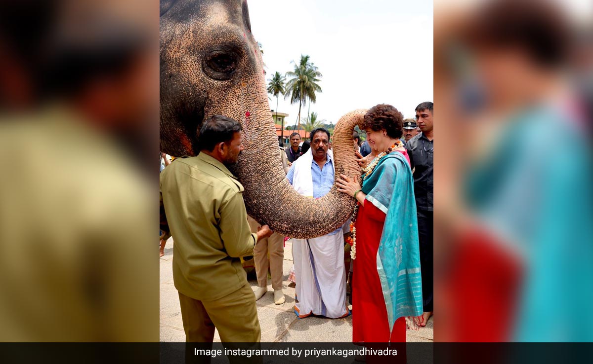 Priyanka Gandhi's Post On "New Friends" In Karnataka A Hit On Internet