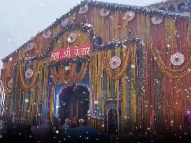 Watch: A Sea Of Devotees With Umbrellas At Kedarnath Dham Amid Snowfall