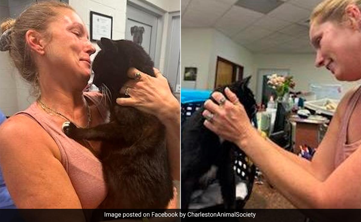 US Woman Reunites With Missing Cat After 10 Years, Thanks To Microchip