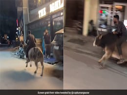 सड़क पर बैल की सवारी करता दिखा शख्स, हवा की रफ्तार से दौड़ा बैल, देखकर लोग हैरान, बोले- इसकी लैंडिंग कैसी रही होगी सड़क पर बैल की सवारी करता दिखा शख्स, हवा की रफ्तार से दौड़ा बैल, देखकर लोग हैरान, बोले- इसकी लैंडिंग कैसी रही होगी