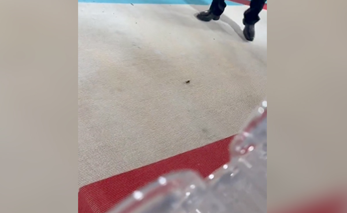 Met Gala 2023: A Cockroach Invades The Red Carpet And The Comments Are To Die For