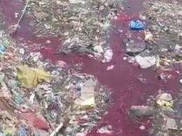 VIDEO: यमुना में मिलने वाली हिंडन नदी का पानी लाल क्यों हो गया? जानिए क्या है कारण VIDEO: यमुना में मिलने वाली हिंडन नदी का पानी लाल क्यों हो गया? जानिए क्या है कारण