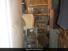 UK Man Barred From Owning Pets After Animals Found Crammed In Cages In His Filthy House UK Man Barred From Owning Pets After Animals Found Crammed In Cages In His Filthy House