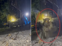 Viral: किसी सस्पेंस थ्रिलर फिल्मी सीन से कम नहीं तेंदुआ का यह Real Video, पिंजरे से निकलते ही मचा दिया बवाल Viral: किसी सस्पेंस थ्रिलर फिल्मी सीन से कम नहीं तेंदुआ का यह Real Video, पिंजरे से निकलते ही मचा दिया बवाल