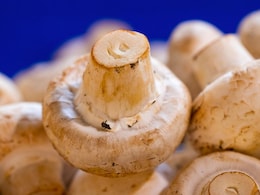Cooking Hack: How To Dehydrate Mushrooms To Increase Their Shelf Life And Use Them