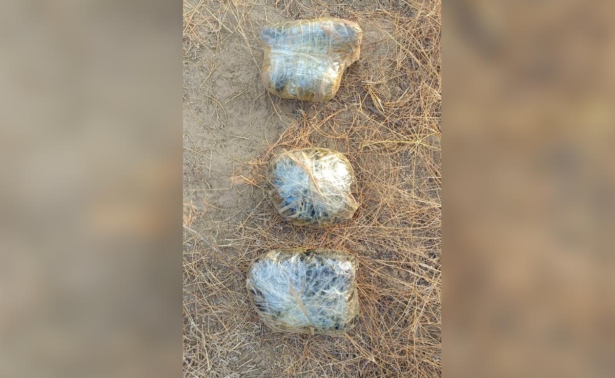 2 Pak Intruders With Drugs Killed By Border Force Along Rajasthan Front