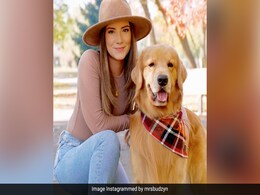 मिलिए टकर से... सोशल मीडिया स्टार है ये कुत्ता, एकसाल में कमाता है इतने करोड़ रुपए, जानकर फटी रह जाएंगी आंखें मिलिए टकर से... सोशल मीडिया स्टार है ये कुत्ता, एकसाल में कमाता है इतने करोड़ रुपए, जानकर फटी रह जाएंगी आंखें