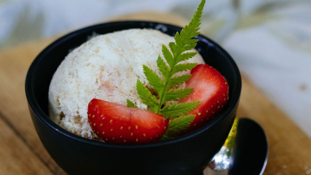 Coconut Ice Cream Recipe Know All About Coconut Ice Cream Recipe at