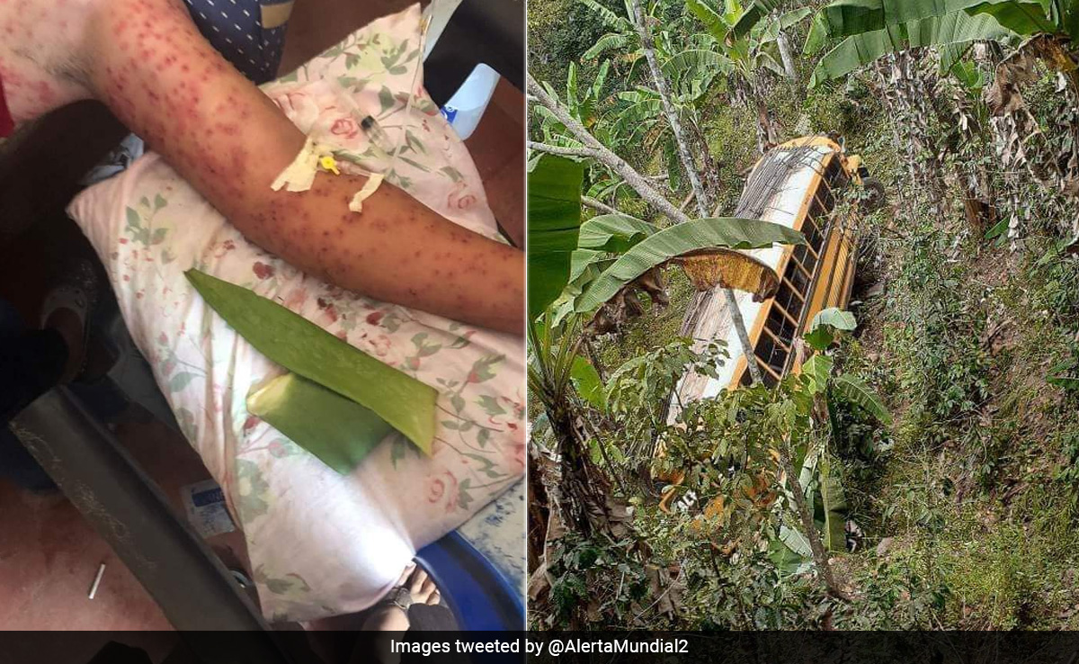 6 People Killed By 'Killer Bees' After Bus Crashes into Hives In Nicaragua