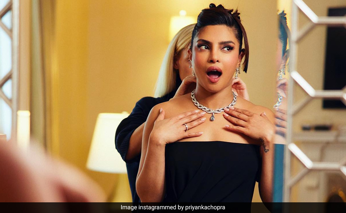 The Necklace Priyanka Chopra Wore To The Met Gala Costs Over Rs 200 Crore: Report