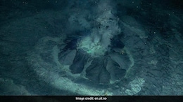 Hidden Mud Volcano Under The Arctic Ocean Full Of Life, Say Scientists
