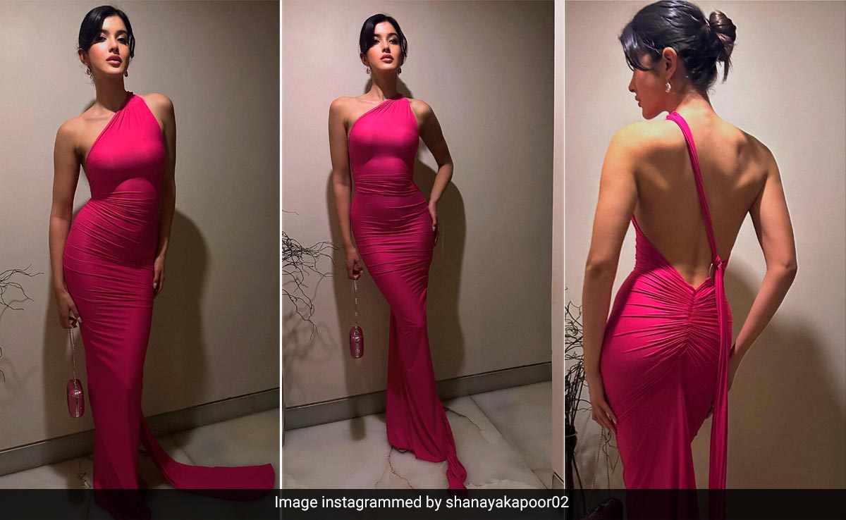The Real Fun In Shanaya Kapoor's Pink Maxi Dress Starts At The Ruched Backless Design
