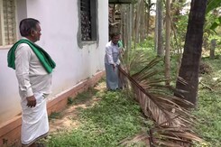 कर्नाटक चुनाव : तुमकुर में नारियल किसान करेंगे जीत-हार का फैसला कर्नाटक चुनाव : तुमकुर में नारियल किसान करेंगे जीत-हार का फैसला