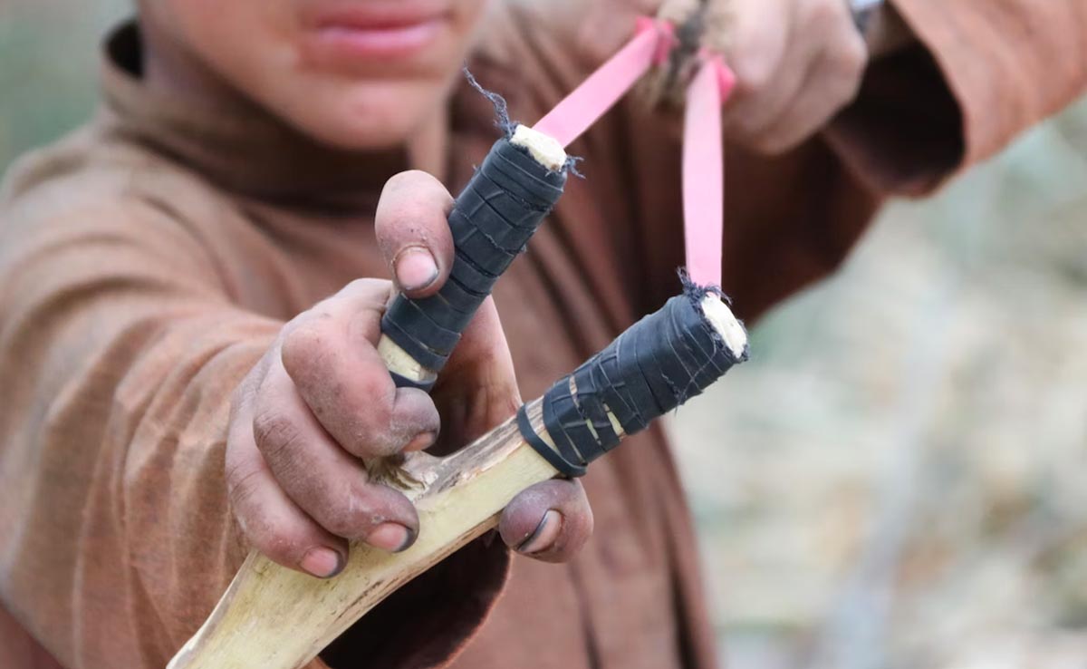 "I Was Just Lucky": US Teen Uses Slingshot To Stop Sister's Kidnapping