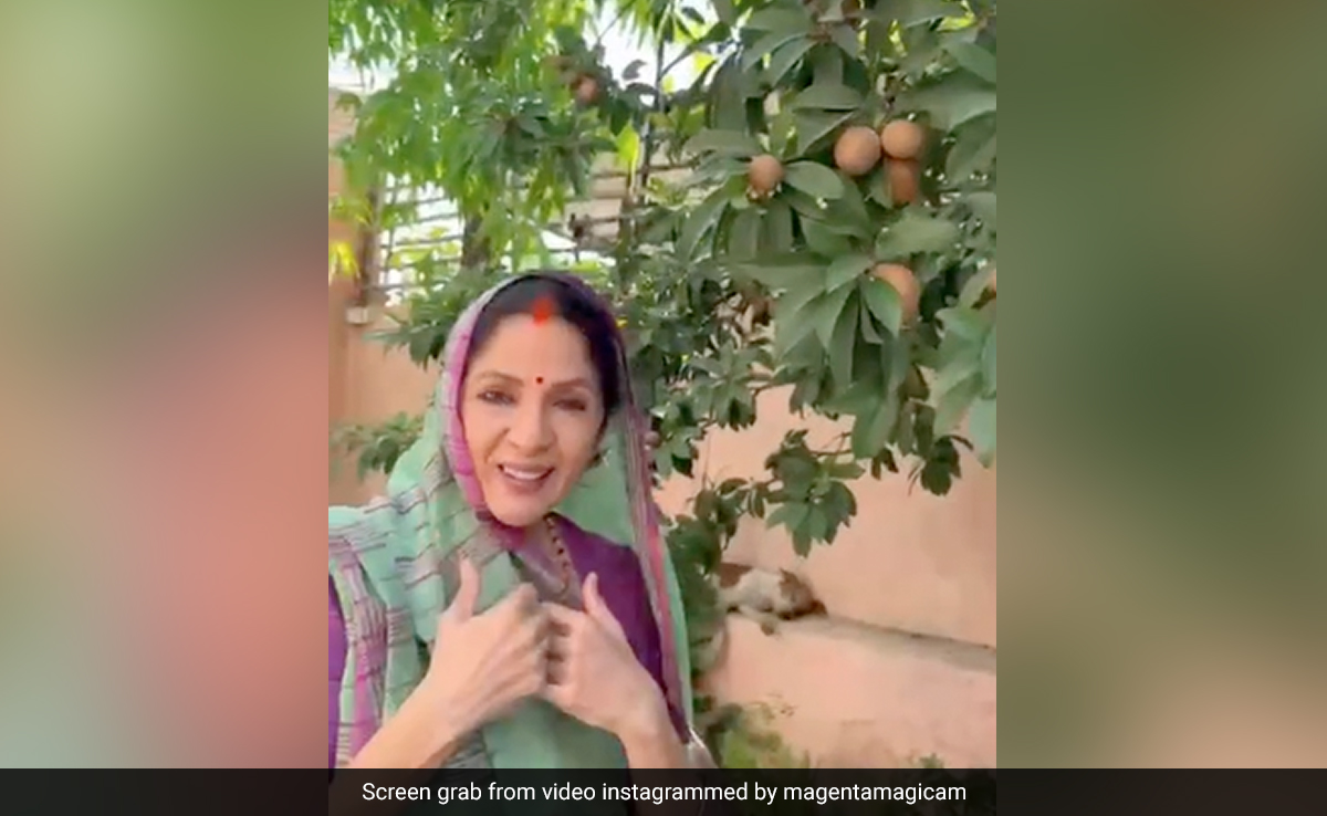 Panchayat के सेट से नीना गुप्ता ने दिखाए प्रधान जी के घर के चीकू, छूकर बोलीं अभी कच्‍चा है, फैंस बोले- 'वी आर सुपर एक्साइटेड'