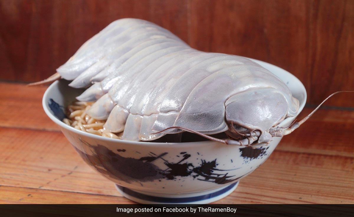 Noodle Shop In Taiwan Serves Ramen Dish Made With 14-Legged Deep-Sea Creature