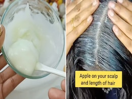 Expert ने बताया बिना एक रुपये खर्च किए कैसे तैयार करें best Hair mask, 15 दिन में बाल होंगे घने, लंबे और मुलायम! Expert ने बताया बिना एक रुपये खर्च किए कैसे तैयार करें best Hair mask, 15 दिन में बाल होंगे घने, लंबे और मुलायम!