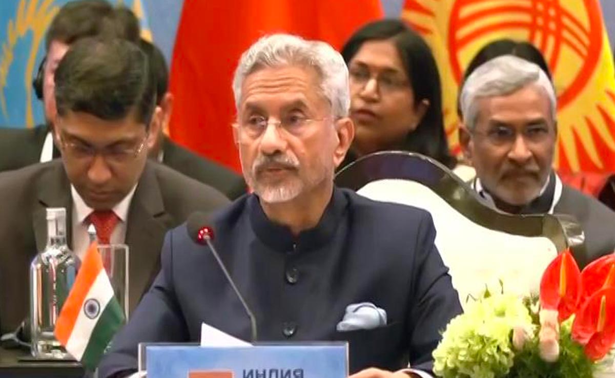 India's Strong Remarks On Terror At Regional Meet, Pak Minister Present