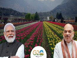 G-20 in Kashmir: कश्मीर पर PM मोदी के विजन को अमित शाह ने दिया अंजाम - पाक परेशान, दुनिया हैरान! G-20 in Kashmir: कश्मीर पर PM मोदी के विजन को अमित शाह ने दिया अंजाम - पाक परेशान, दुनिया हैरान!