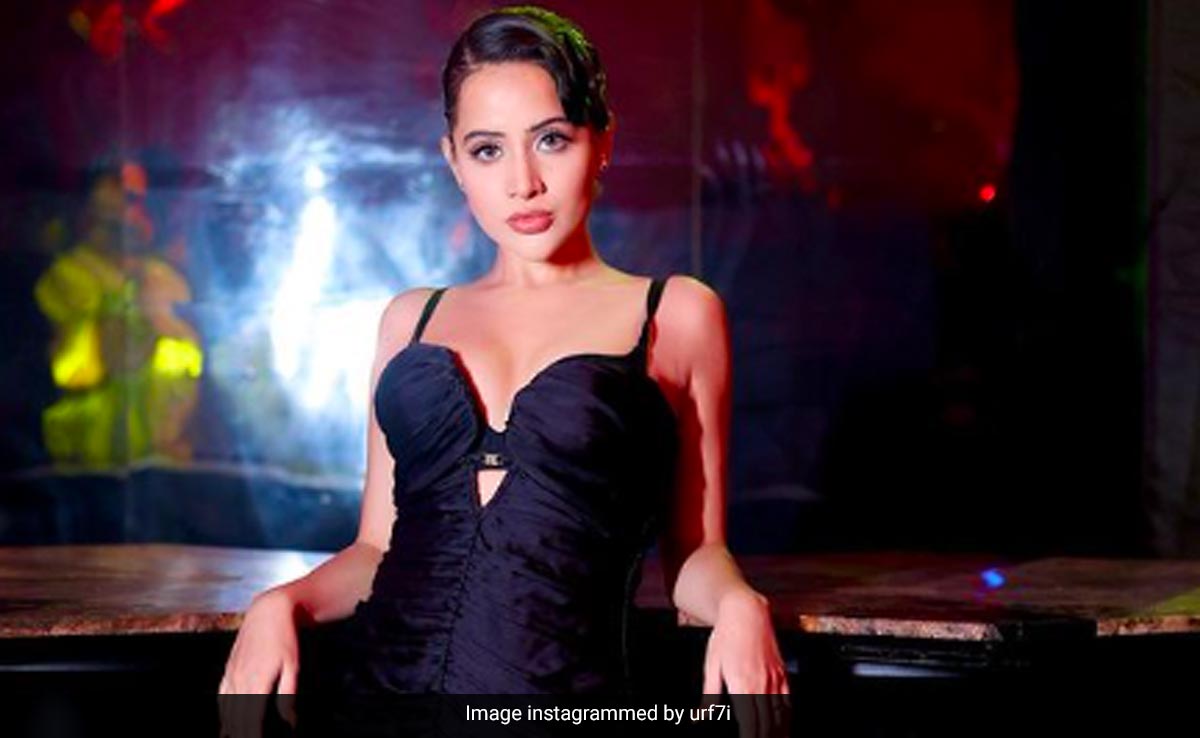 Old Video Of Uorfi Javed Saying "Maybe I Am Asexual" Is Trending