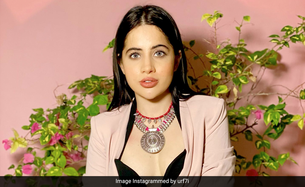 "Not Trying To Defame Madhuri Dixit": Uorfi Javed After She Was Disinvited From Event