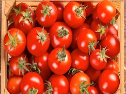 71,500 kg Of Tomatoes Sold At Subsidised Rate In Delhi In 2-Day Mega Sale 71,500 kg Of Tomatoes Sold At Subsidised Rate In Delhi In 2-Day Mega Sale