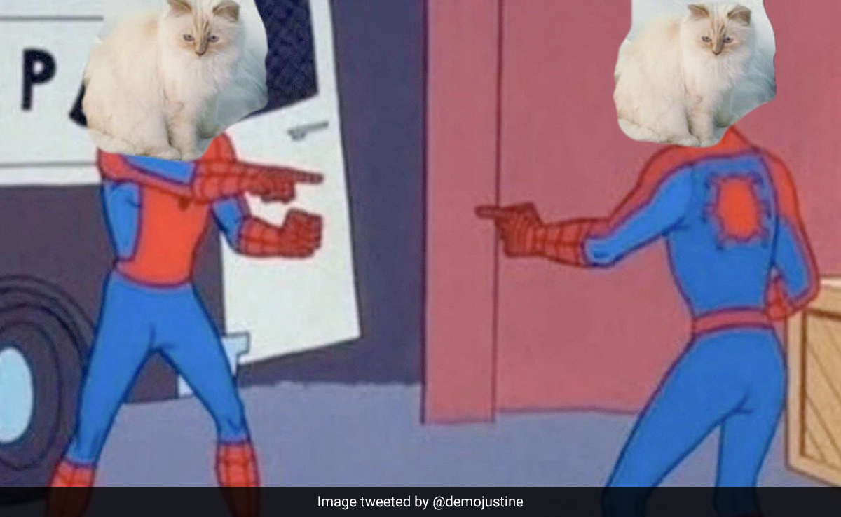 Met Gala 2023-Memefied: Cat Talk To Cockroach, All The Bizarre Trends Keeping Twitter Busy