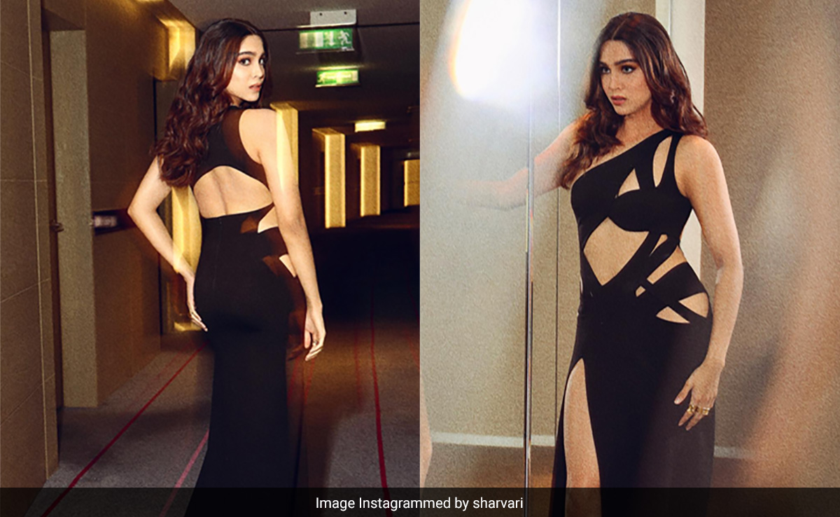 IIFA 2023: Sharvari Wagh's "Shaken, Not Stirred" Vibe Gets The Best Of Her Black Cutout Gown