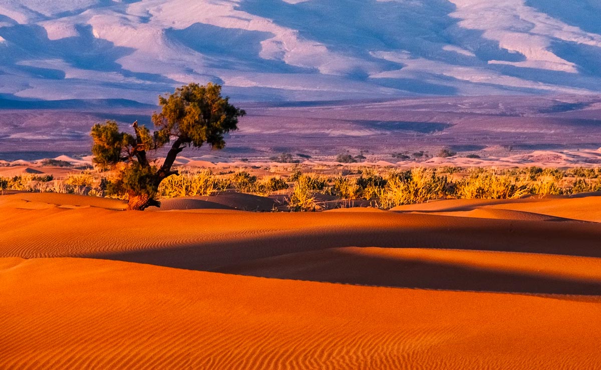 7 Amazing Deserts Of The World To Add To Your Travel Wishlist