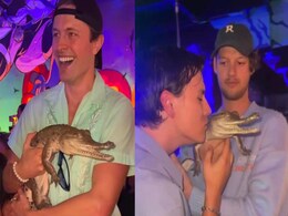 Influencers Pose With Snakes And Baby Crocodiles At Australian Night Club, Spark Outrage Influencers Pose With Snakes And Baby Crocodiles At Australian Night Club, Spark Outrage